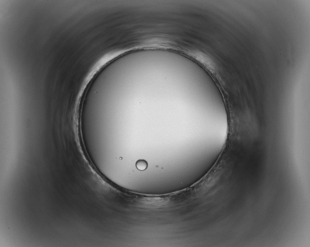 X0000087321478200704201101