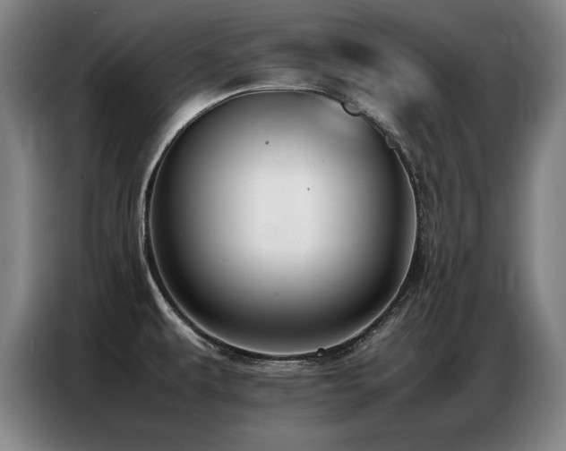 X0000087321479200704201101
