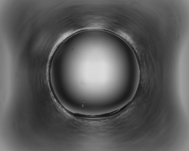 X0000087321480200704201101