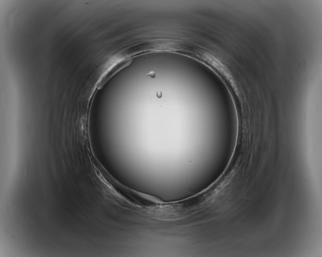X0000087321481200704201101