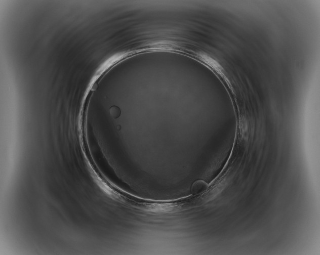 X0000087321482200704201101