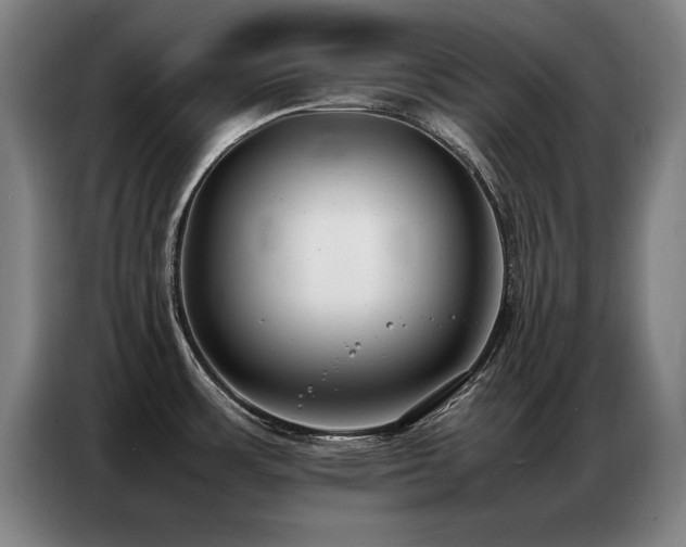 X0000087321483200704201101
