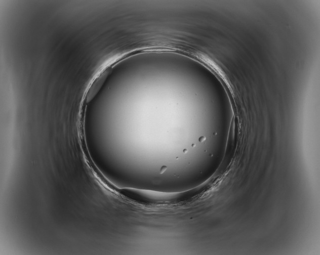X0000087321485200704201101
