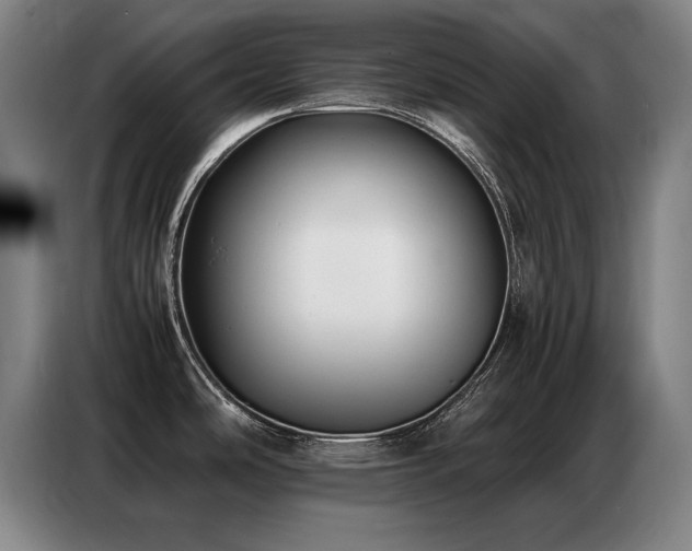 X0000087321486200704201101