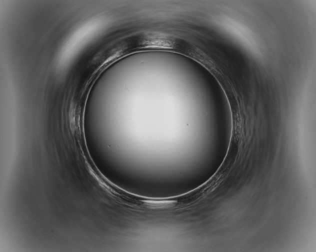X0000087321487200704201101
