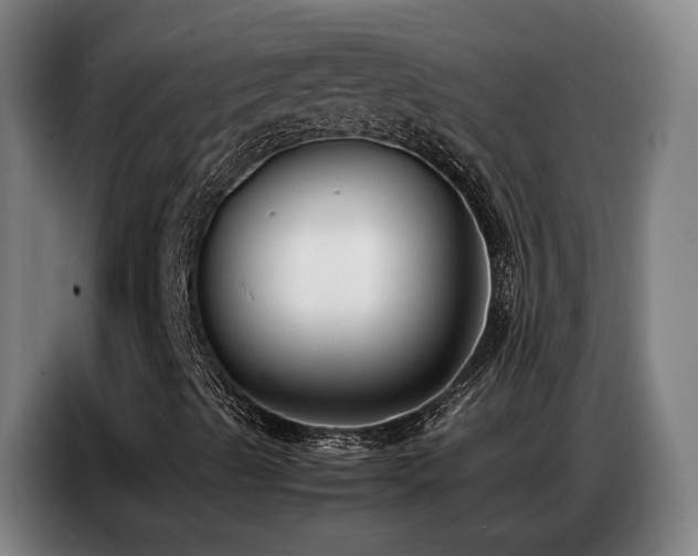 X0000087321489200704201101