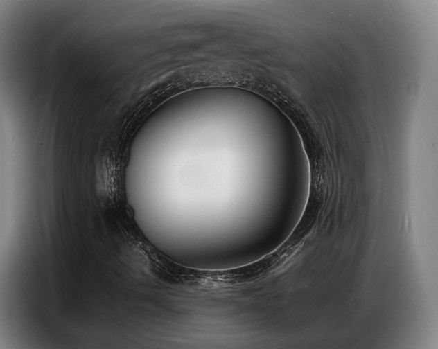X0000087321490200704201101