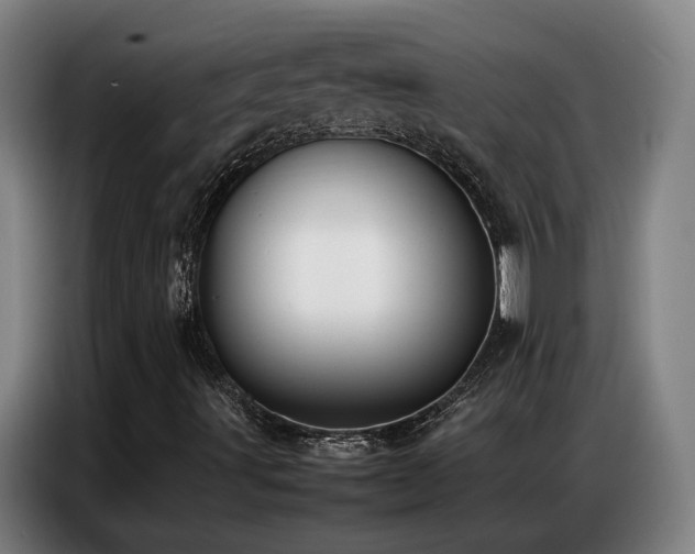 X0000087321491200704201101