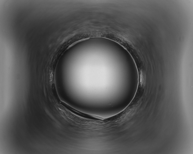 X0000087321492200704201101