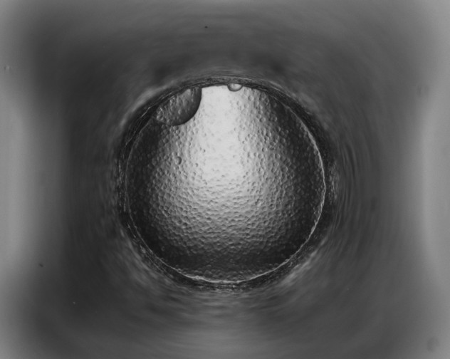 X0000087321494200704201101