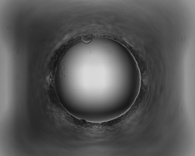X0000087321495200704201101