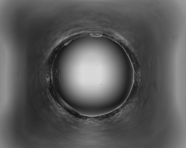X0000087321496200704201101