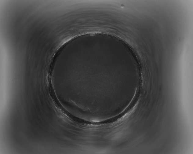 X0000087321497200704201101