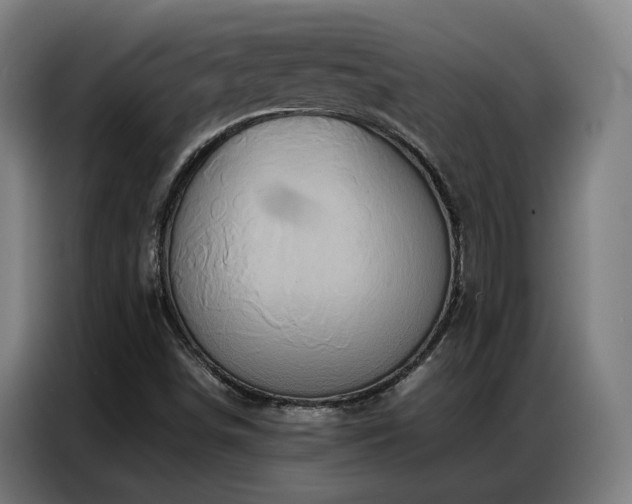 X0000087321498200704201101