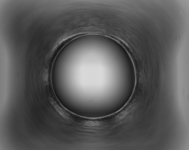 X0000087321499200704201101