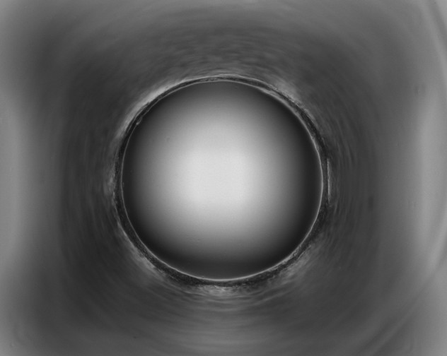 X0000087321500200704201101