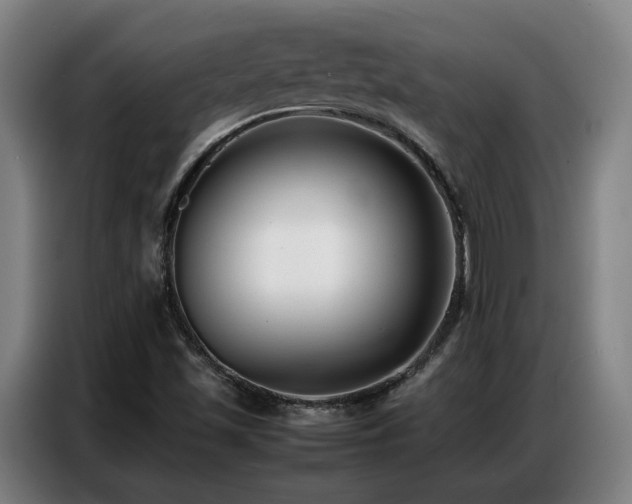 X0000087321501200704201101