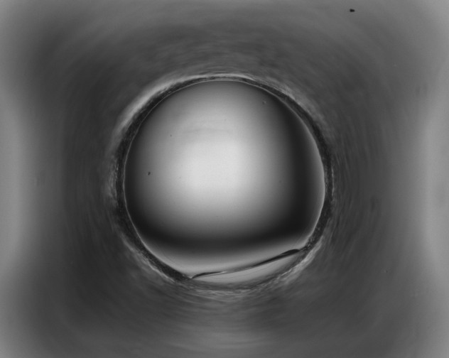 X0000087321502200704201101