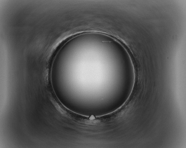 X0000087321503200704201101