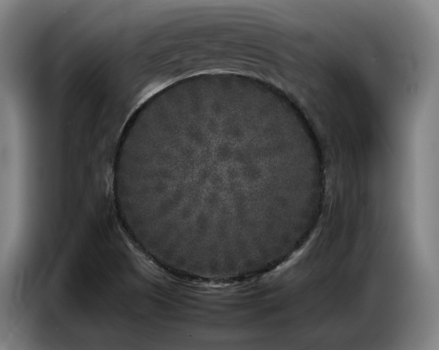 X0000087321505200704201101