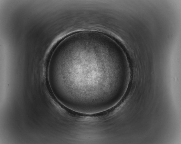 X0000087321506200704201101