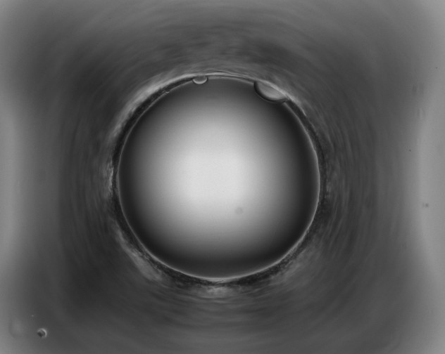 X0000087321507200704201101
