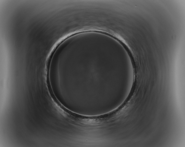 X0000087321508200704201101