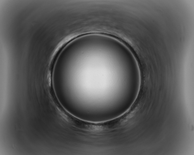 X0000087321509200704201101
