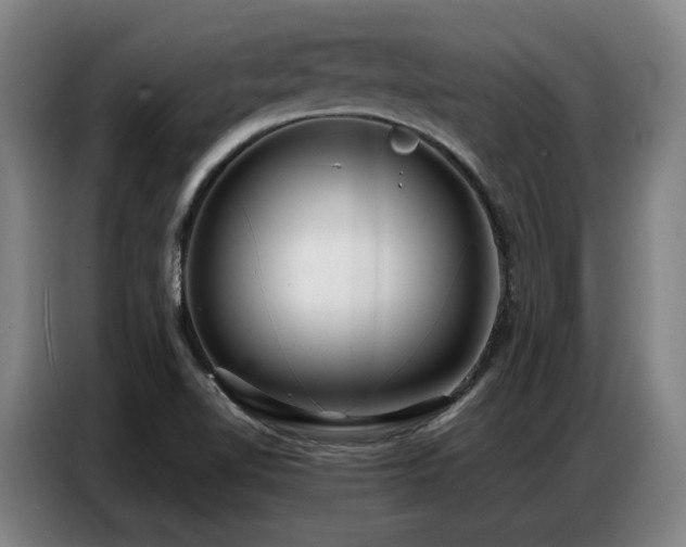 X0000087321510200704201101