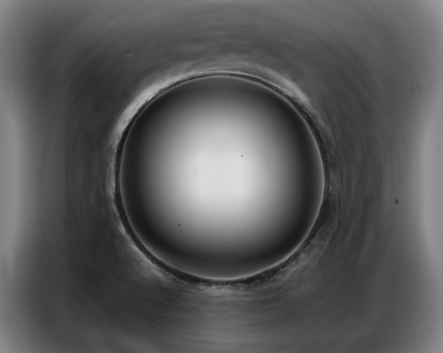 X0000087321512200704201101