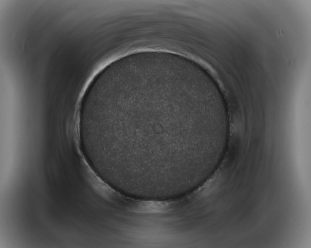 X0000087321514200704201101