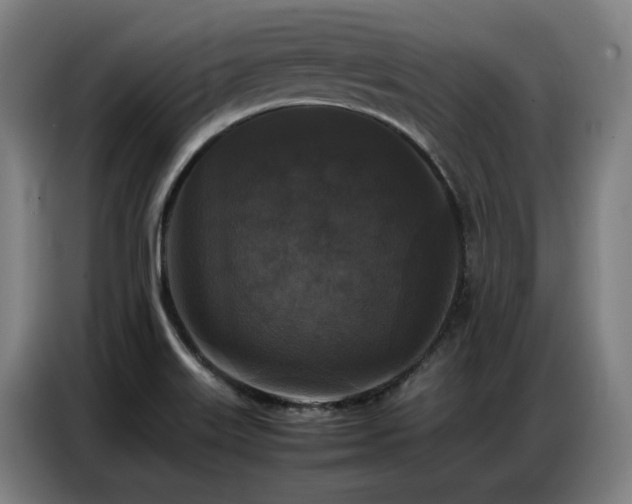 X0000087321515200704201101
