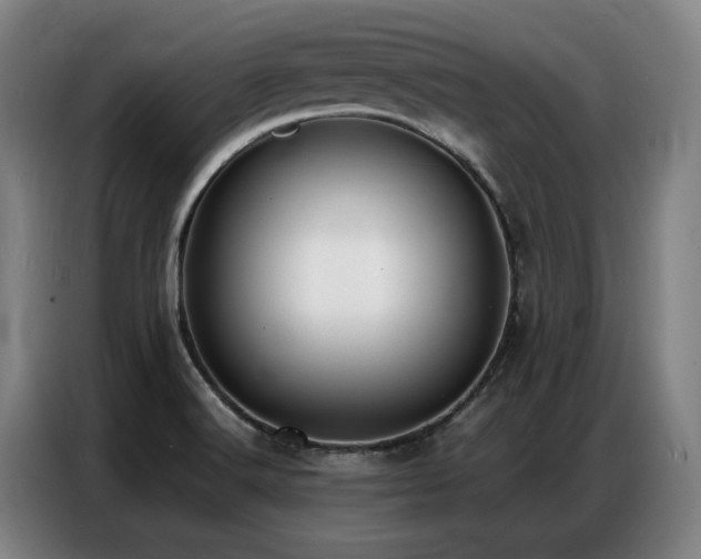 X0000087321516200704201101
