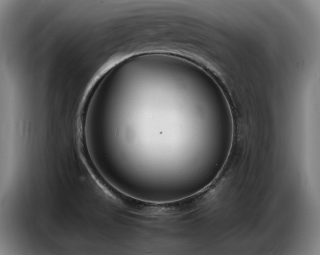 X0000087321517200704201101