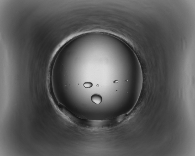 X0000087321518200704201101
