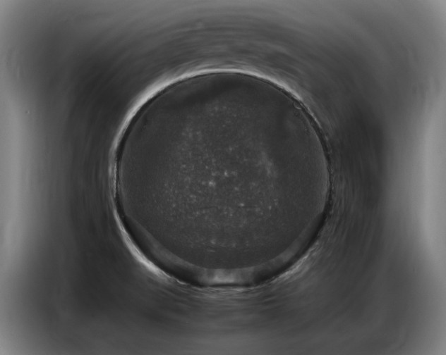X0000087321519200704201101