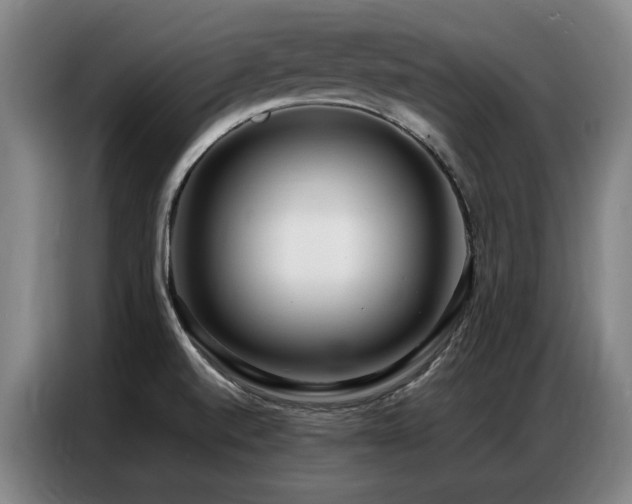 X0000087321520200704201101
