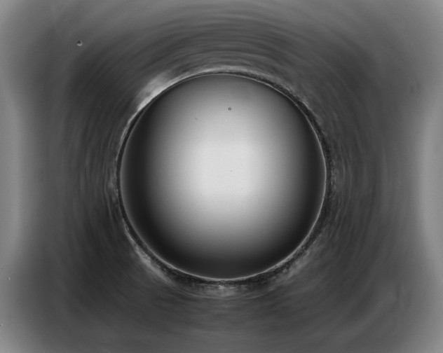 X0000087321521200704201101