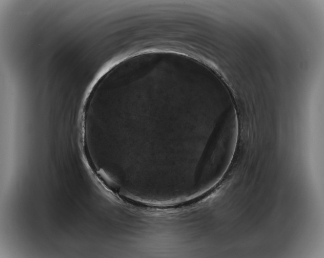 X0000087321522200704201101