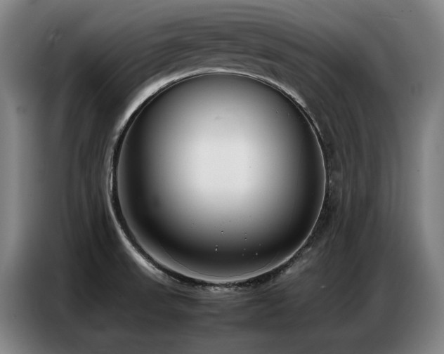 X0000087321523200704201101