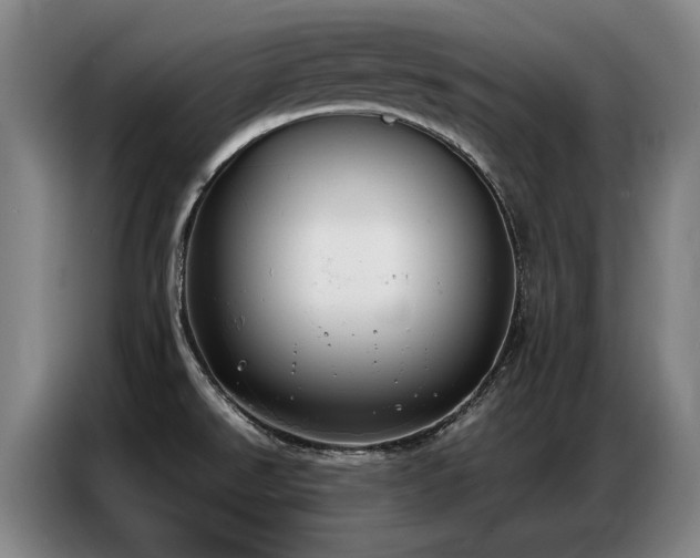 X0000087321526200704201101