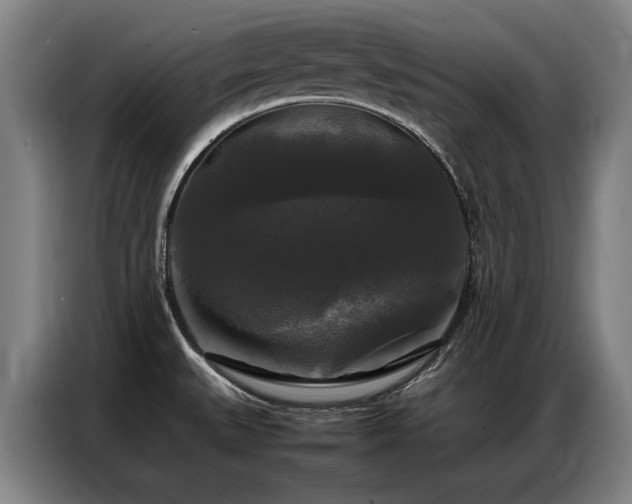 X0000087321527200704201101