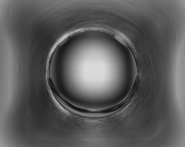 X0000087321528200704201101