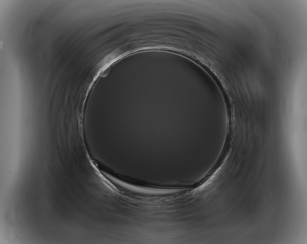 X0000087321529200704201101