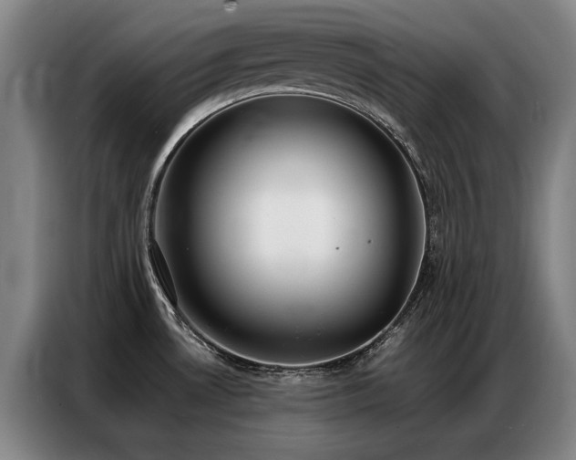 X0000087321530200704201101