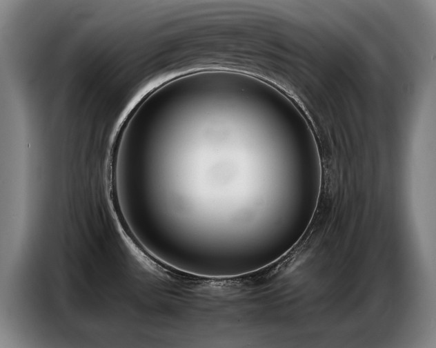 X0000087321531200704201101