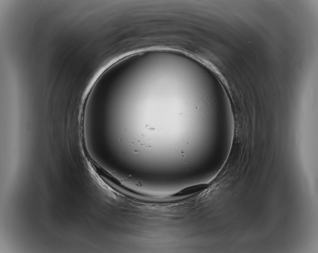 X0000087321532200704201101