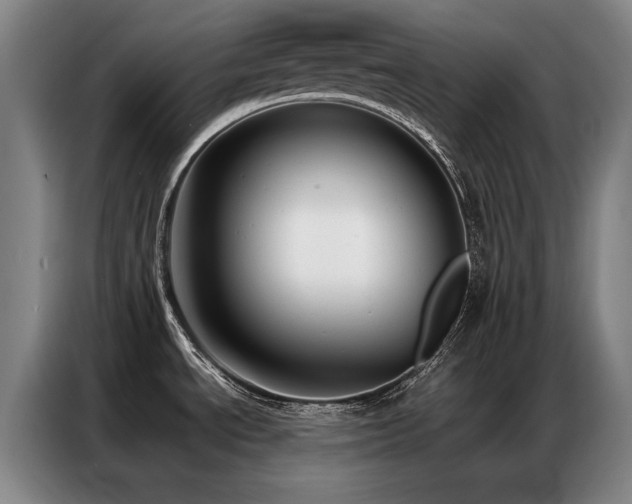 X0000087321534200704201101