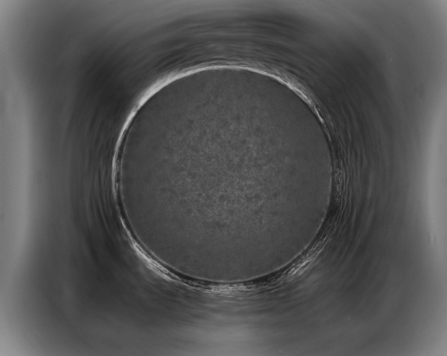 X0000087321535200704201101