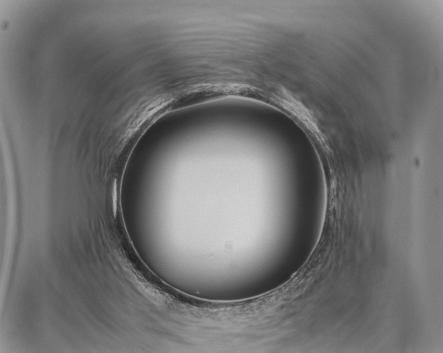 X0000087320013200704271439